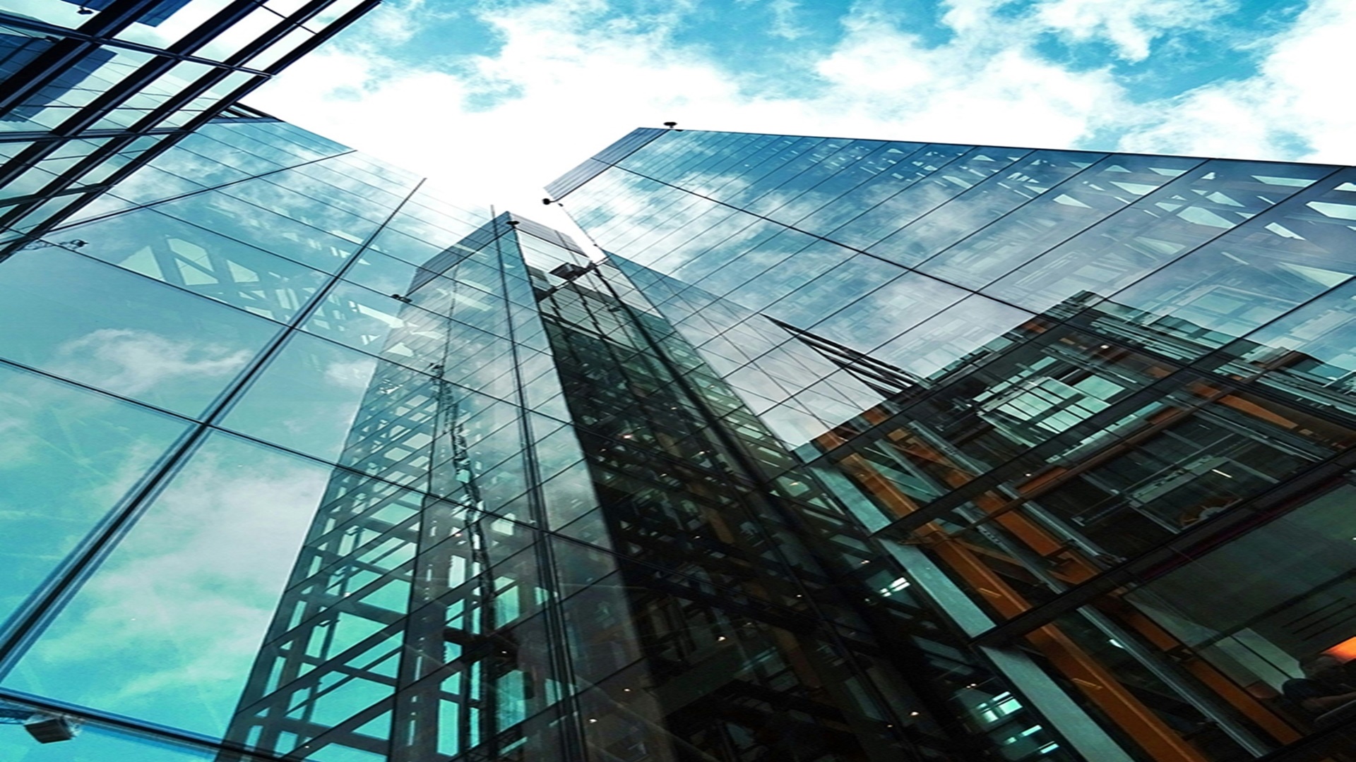 블루밍 킨텍스 더센트